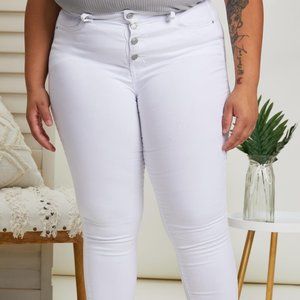 YMI Jeanswear Tiffany Full Size Button Fly Skinny Jeans